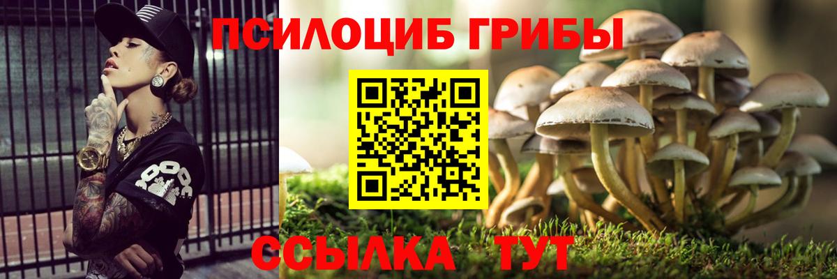 Ивантеевка  Псилоцибиновые грибы Magic Shrooms  Вход с VPN 